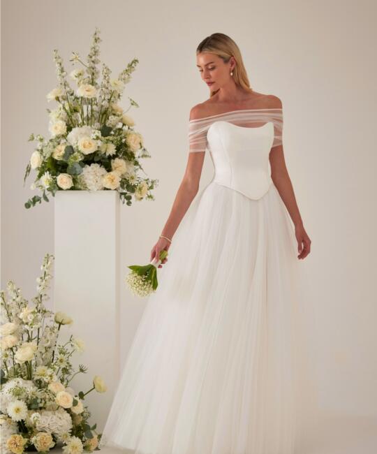 Brianna Bodice Image