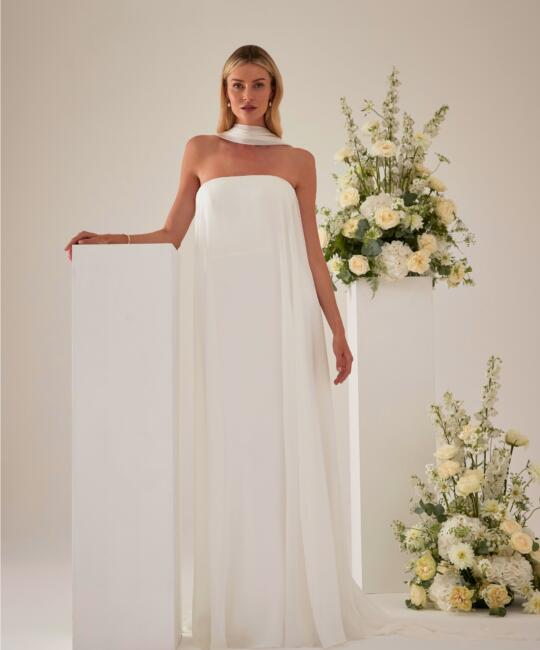 Dana Chiffon Overdress Image